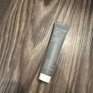 Living Proof Perfect Hair Day Hair Mask